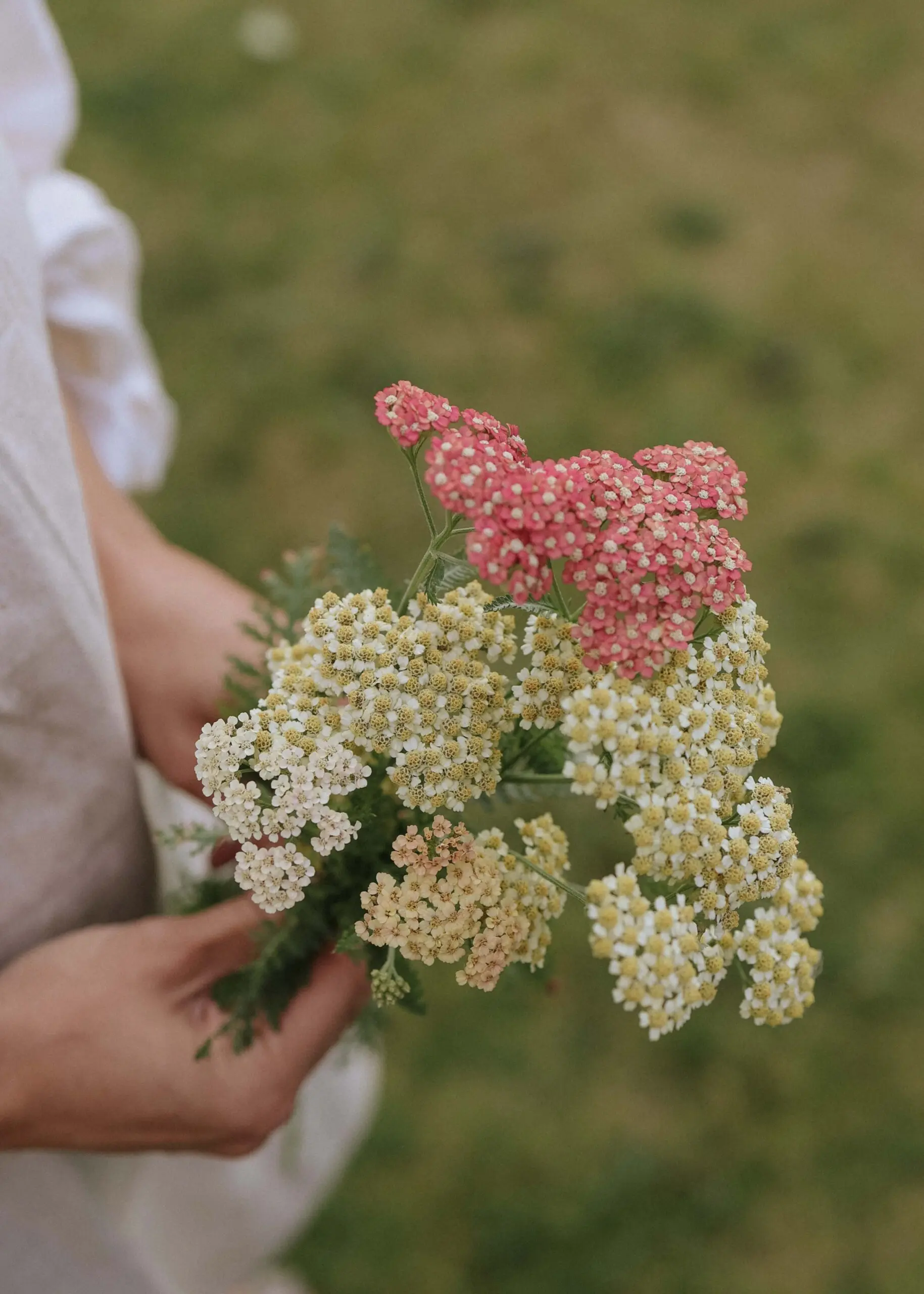 florea_rolika_summerpastelle_lowres-scaled